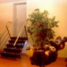 Frisurenstudio Marino - Spa fr die Kids